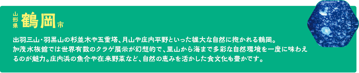 八戸・仙台・鶴岡を巡るデジタルスタンプラリー